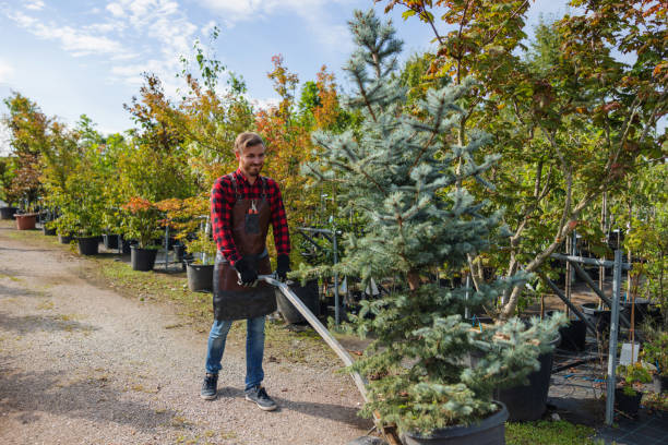 Why Choose Our Tree Removal Services in Waunakee, WI?